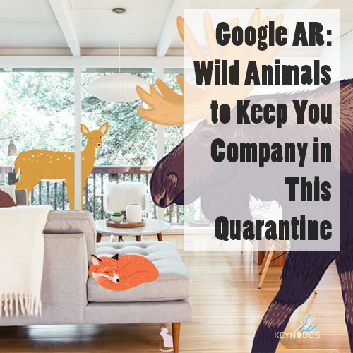 Google Augmented Reality is Bringing Wild Animals into Your Home